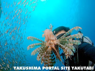 プロフィールフォト