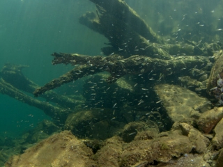 川より空を望む