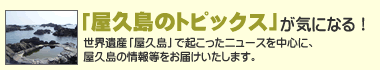「屋久島のトピックス」が気になる！　-　世界遺産「屋久島」で起こったニュースを中心に、屋久島の情報をお届けいたします。