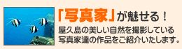 「写真家」が魅せる！-屋久島の美しい自然を撮影している写真家達の作品をご紹介いたします。